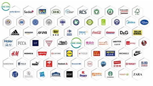 GSS驗(yàn)廠無憂，智慧行定制化咨詢 高效拿證，贏取市場先機(jī)